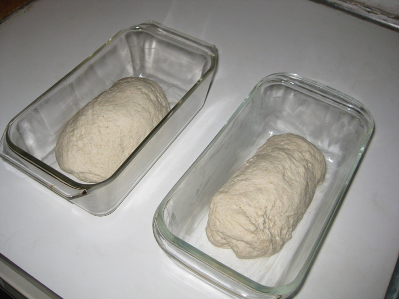 bread dough in pans